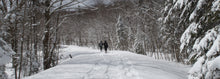Dion NeviTREK Snowshoe Gift Cards - $50-$300 denominations