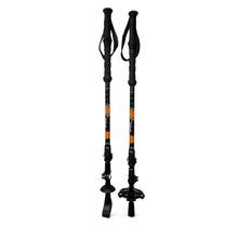 Hiking/Treking Poles Cascade Mountain