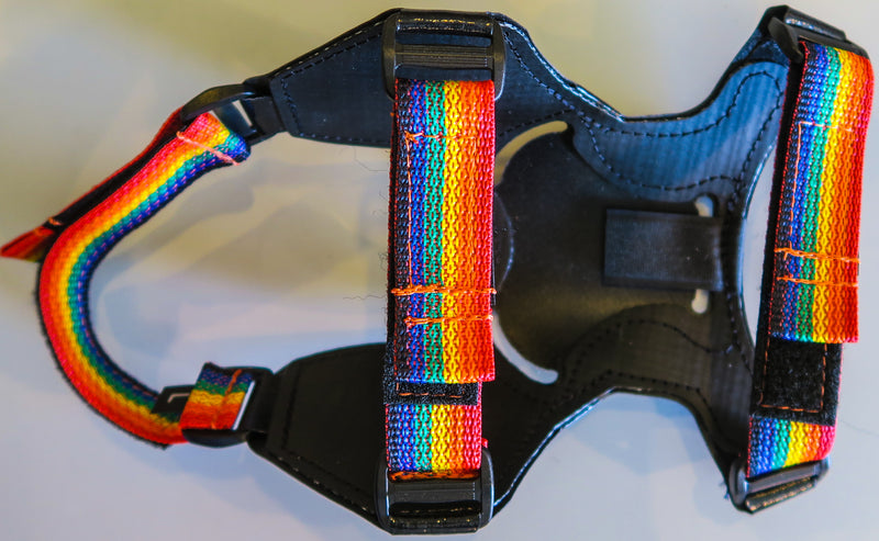 QuickFit Snowshoe Binding