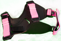 QuickFit Snowshoe Binding