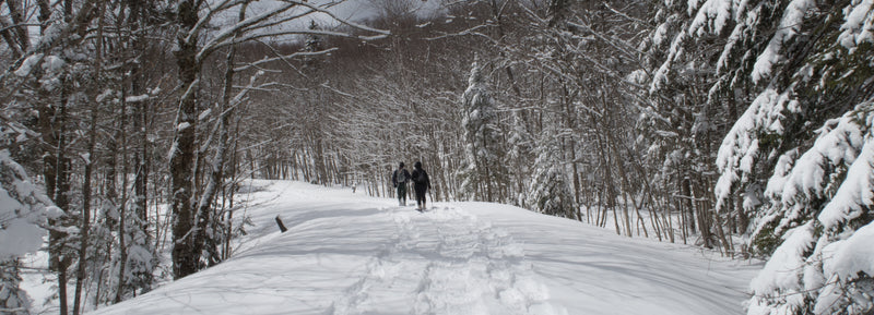 Dion NeviTREK Snowshoe Gift Cards - $50-$300 denominations