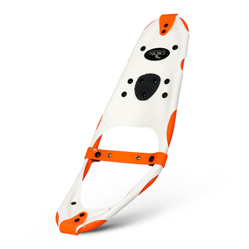 Model 120 Snowshoe Frame