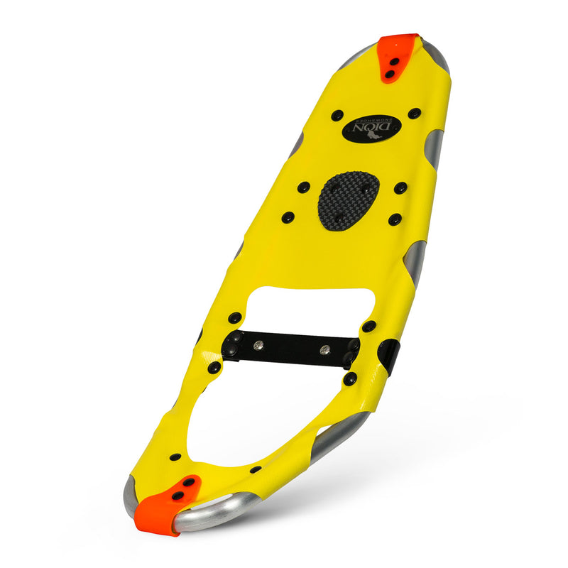 Model 132 Snowshoe Frame